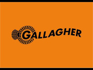 GALLAGHER